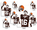 Josh Cribbs Cleveland Browns Football Art Poster