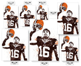 Josh Cribbs Cleveland Browns Football Art Poster