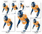 Champ Bailey Denver Broncos Football Art Poster