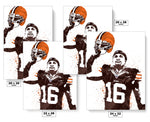 Josh Cribbs Cleveland Browns Football Art Poster